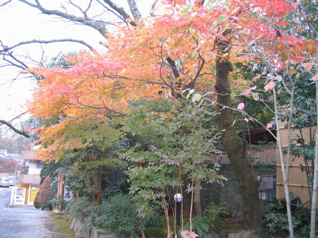Gyokutei Hotel Hakone Ngoại thất bức ảnh